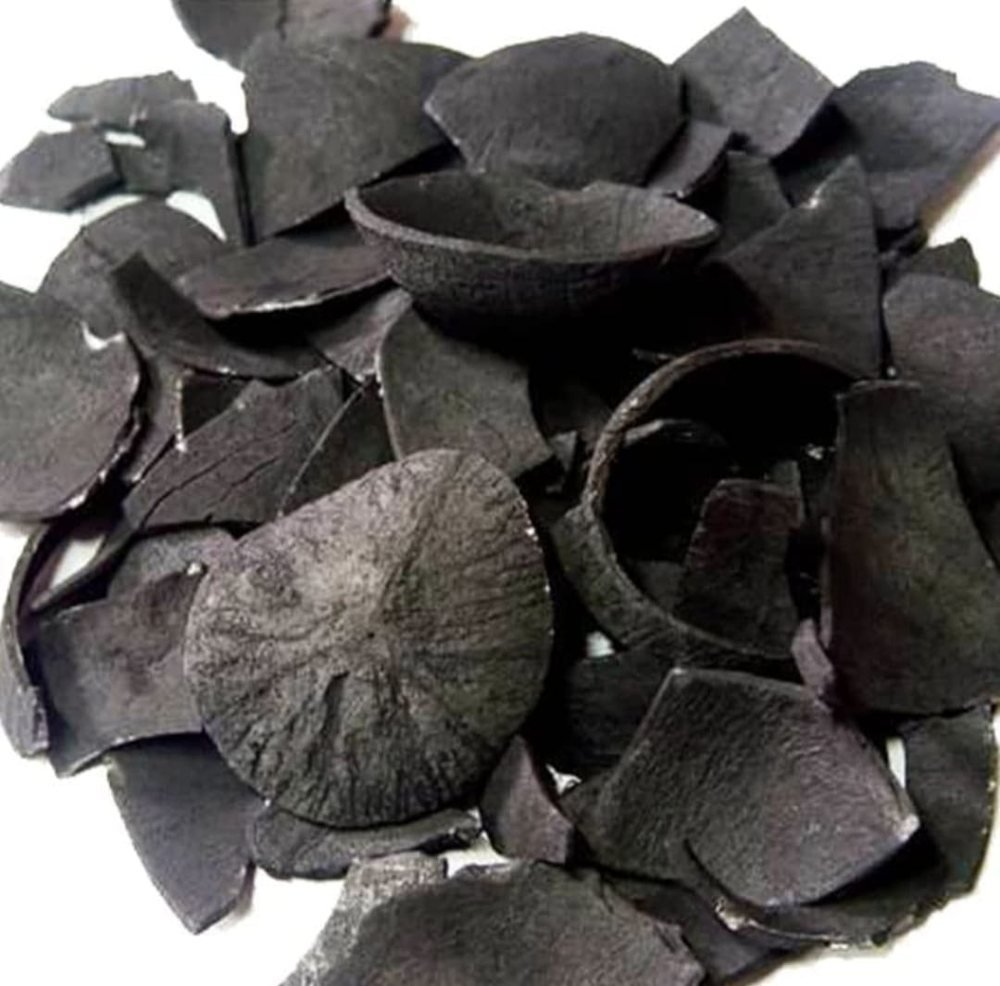 Coconut Shell