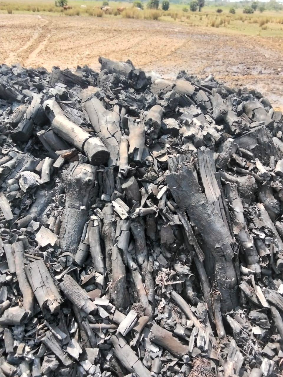 Wood charcoal production yard